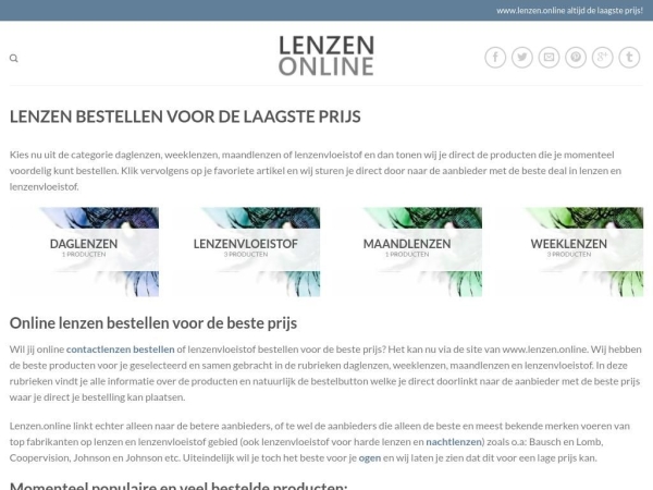 lenzen.online