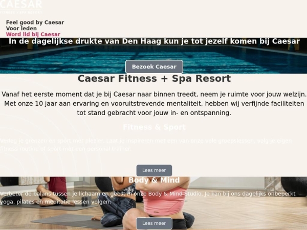 test-caesar-denhaag.nl