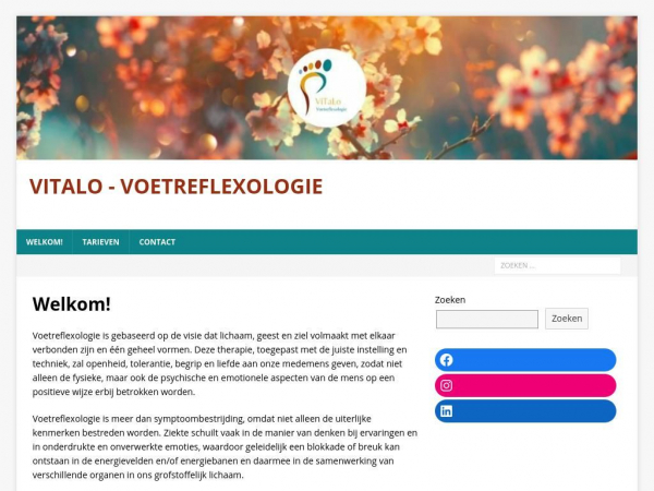vitalo-voetreflexologie.nl